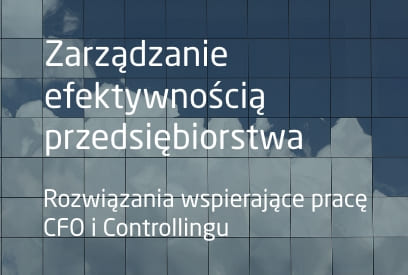 Zarządzanie efektywnością przedsiębiorstwa